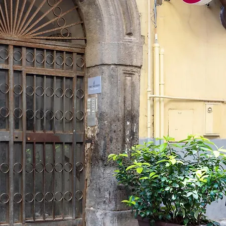 Three Brother's Augusteo *